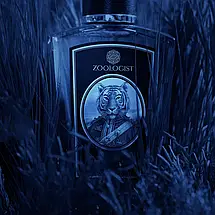 Zoologist Perfumes Tiger духи 60 ml. (Зоологіст Парфумс Тигр), фото 4