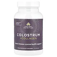 Ancient Nutrition, Молозиво + колаген, 75 капсул