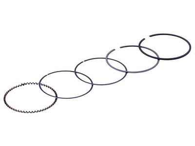 Поршні та кільця