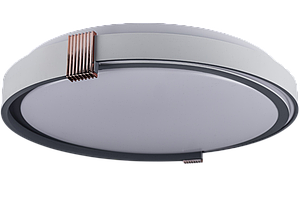 COLISEUM матовий 60W 395*60мм 3000К-6500К з ДК білий з синім