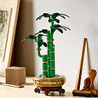 LEGO Botanicals Бамбук щастя конструктор 325 деталей, фото 11