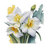 Термонаклейка на одежду женская Нарциссы