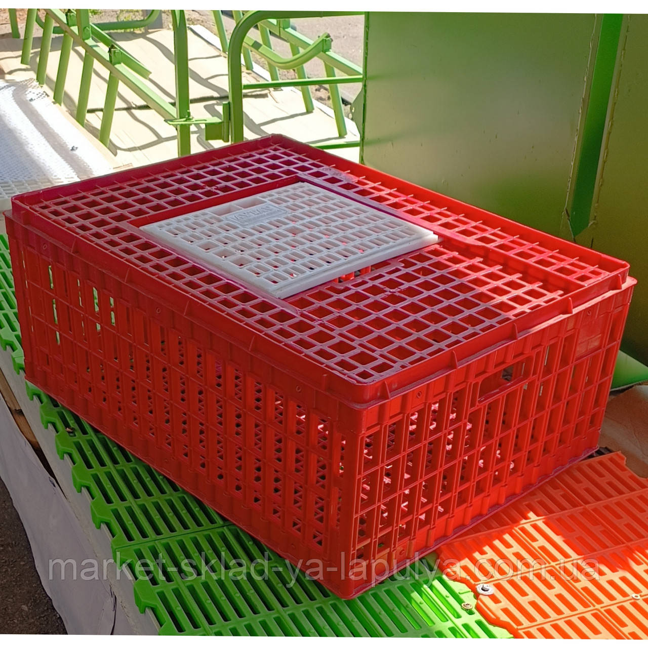 Ящик для перевезення птиці 77х57хh 31,5 см, фото 1