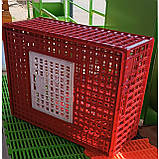 Ящик для перевезення птиці 77х57хh 31,5 см, фото 3