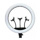 Кільцева лампа, світлодіодна лампа RL-14 36 см з пультом, фото 6