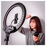 Кільцева лампа, світлодіодна лампа RL-14 36 см з пультом, фото 10