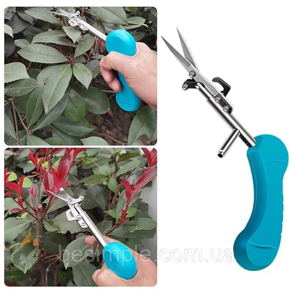 Садові ножиці для збору плодів 20см / Ножиці для обрізки троянд / Секатор для обрізки гілок і листя, фото 1