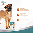 Вітаміни 8in1 Excel Glucosamine + MSM для цуценят та дорослих собак, для суглобів, 55 шт, фото 9