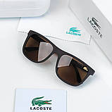 Чоловічі коричневі сонцезахисні окуляри Lacoste (205) polaroid, фото 5