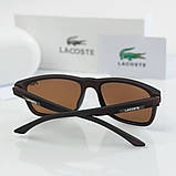 Чоловічі коричневі сонцезахисні окуляри Lacoste (205) polaroid, фото 4