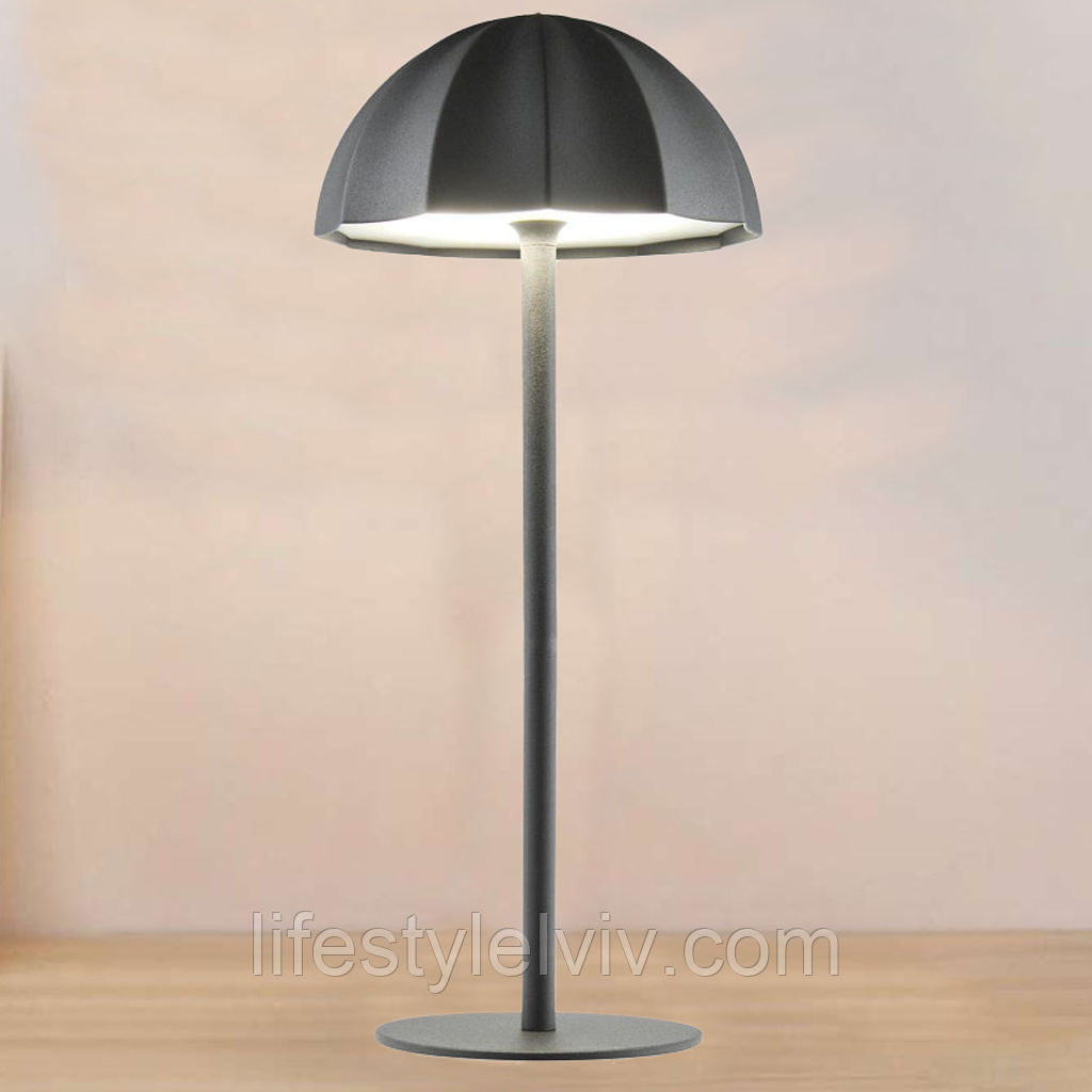 Настільна лампа 14см, 2 режими, USB / Акумуляторний світильник / Світлодіодна лампа / Настільний світильник, фото 1