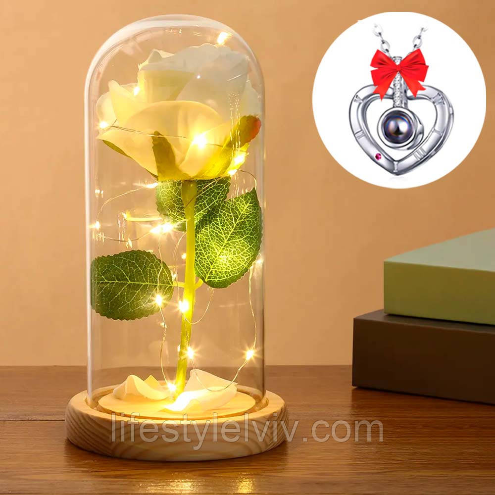 Вічна троянда в колбі 21см + Подарунок Кулон з ланцюжком / Квітка в колбі / Троянда нічник у скляній колбі, фото 1