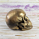 Череп світильник настільний S 13296 (золото антік), фото 4