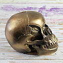 Череп скарбничка Містік M 13294 (золото антік), фото 2