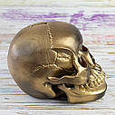 Череп скарбничка M 13293 (золото антік), фото 3