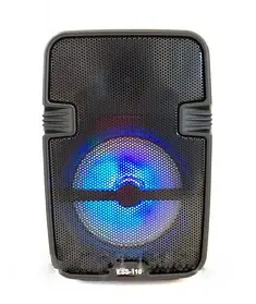 Портативна колонка-валіза ESS-110 USB, SD, FM, AUX, Bluetooth 20.5×14.5×11 см iC227