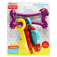 Fisher-Price, Pets, Key-9 Chews, іграшка для прорізування зубів, для цуценяти, 1 жувальна іграшка