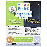 Homeolab USA, Kids Relief®, сиропи проти кашлю та застуди, денний і нічний засіб, 0-12 років, 2 флакони по 100