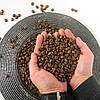 Зернова кава 1кг, Купаж арабіки 70% і робусти 30%, середнього обсмаження / Свіжообсмажена кава в зернах, фото 5