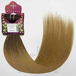 Натуральне Слов'янське Волосся на Заколках 55-60 см 110 грам, Омбре №2B-08