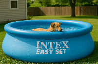 Intex Easy Set басейн 396×84 см з фільтром 28142 - надувний круглий, об'єм 7290 л, для сім'ї та дачі, фото 11