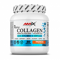 Amix Collagen Marine Peptan Drink 300g