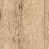 Ламінат EGGER дуб Карлін пісочний 32 клас 8 мм, фото 4