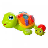 Розвиваюча музична іграшка Дві черепашки від Hola Toys, фото 2