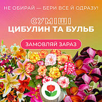Суміші квітів