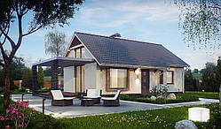 MS-004. Одноповерховий функціональний будинок