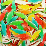 Крокодил фруктовий мармеладні цукерки желейки Ravazzi, Італія 2 кг/уп, фото 3