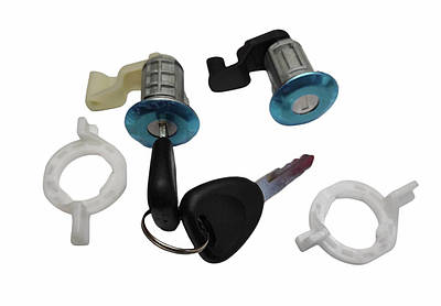 Личинки замка