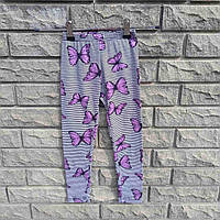 Лосини смугасті з фіолетовими метеликами, Туреччина