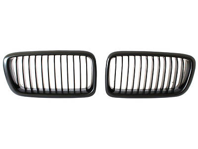 Решетки радиатора (ноздри)