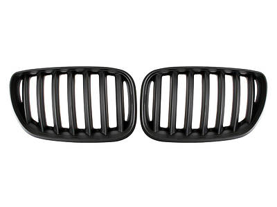 Решетки радиатора (ноздри)