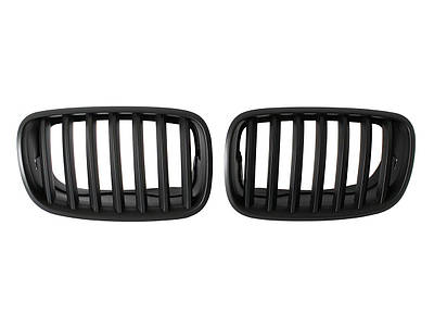 Решетки радиатора (ноздри)