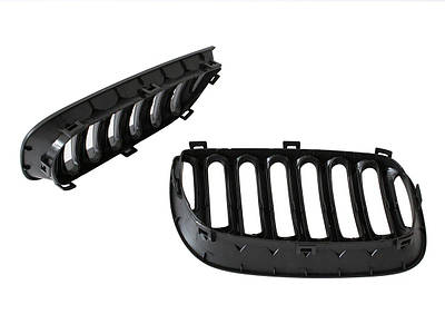 Решетки радиатора (ноздри)