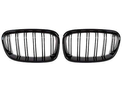 Решетки радиатора (ноздри)