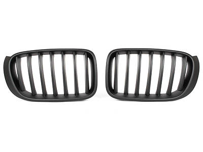 Решетки радиатора (ноздри)