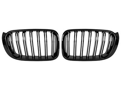 Решетки радиатора (ноздри)