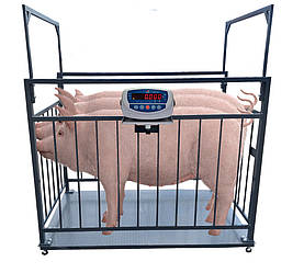Ваги для свиней 1500 кг (1000x2000 мм) тварин з огорожею, масового зважування