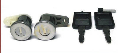 Личинки замка