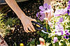 Площинний секатор Fiskars Single Step P26 1000567, фото 7