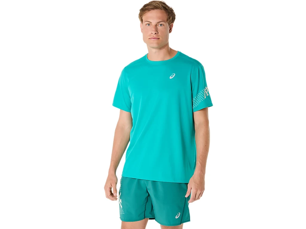 Футболка Asics Icon Ss Top 2011D239-401