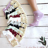 Шкарпетки жіночі ALBA бавовна різнокольорові з серденьками 36-39 | 12 пар