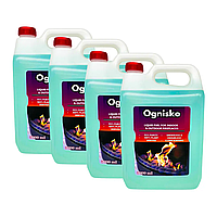 Паливо для біокамінів Naturalne Ognishko 5 л (комплект 4 шт)