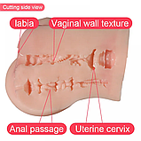 Міні торс мастурбатор Isabel, фото 10