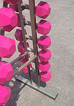 Гантельний ряд 1-10 кг зі стійкою гантелі нерозбірні гексагональні гантелі сталеві GoodLift Pink вага 110 кг, фото 3