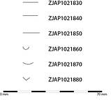 Різець ручний для різьби по дереву 7 мм Takagi (Японія) стамеска ударна з виїмкою, фото 9