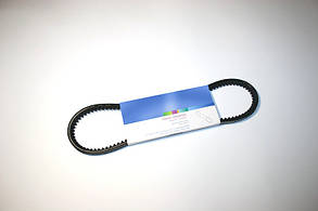 Ремінь генератора СЕНС (зубчастий) (L=725)